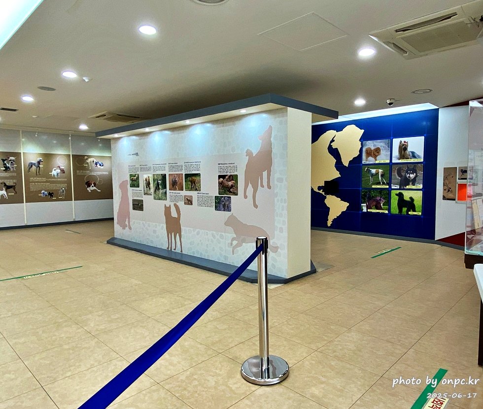 🐶 한국의 자랑 진도개와 특별한 하루! 진도개 테마파크 방문기