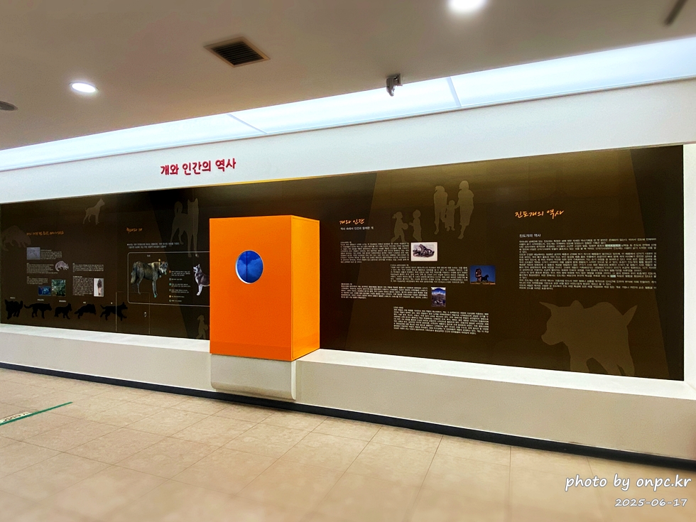 🐶 한국의 자랑 진도개와 특별한 하루! 진도개 테마파크 방문기