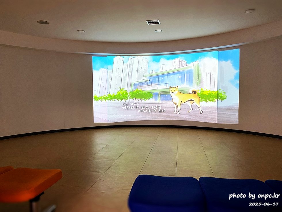 🐶 한국의 자랑 진도개와 특별한 하루! 진도개 테마파크 방문기