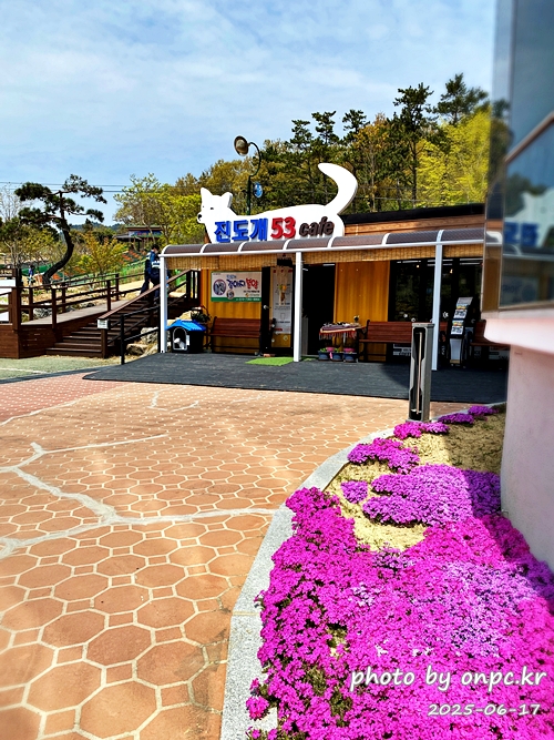 🐶 한국의 자랑 진도개와 특별한 하루! 진도개 테마파크 방문기