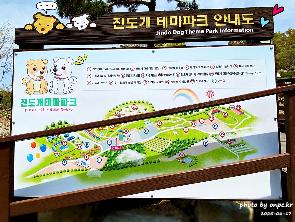 🐶 한국의 자랑 진도개와 특별한 하루! 진도개 테마파크 방문기