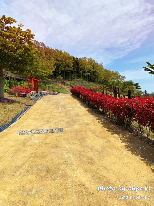 🐶 한국의 자랑 진도개와 특별한 하루! 진도개 테마파크 방문기