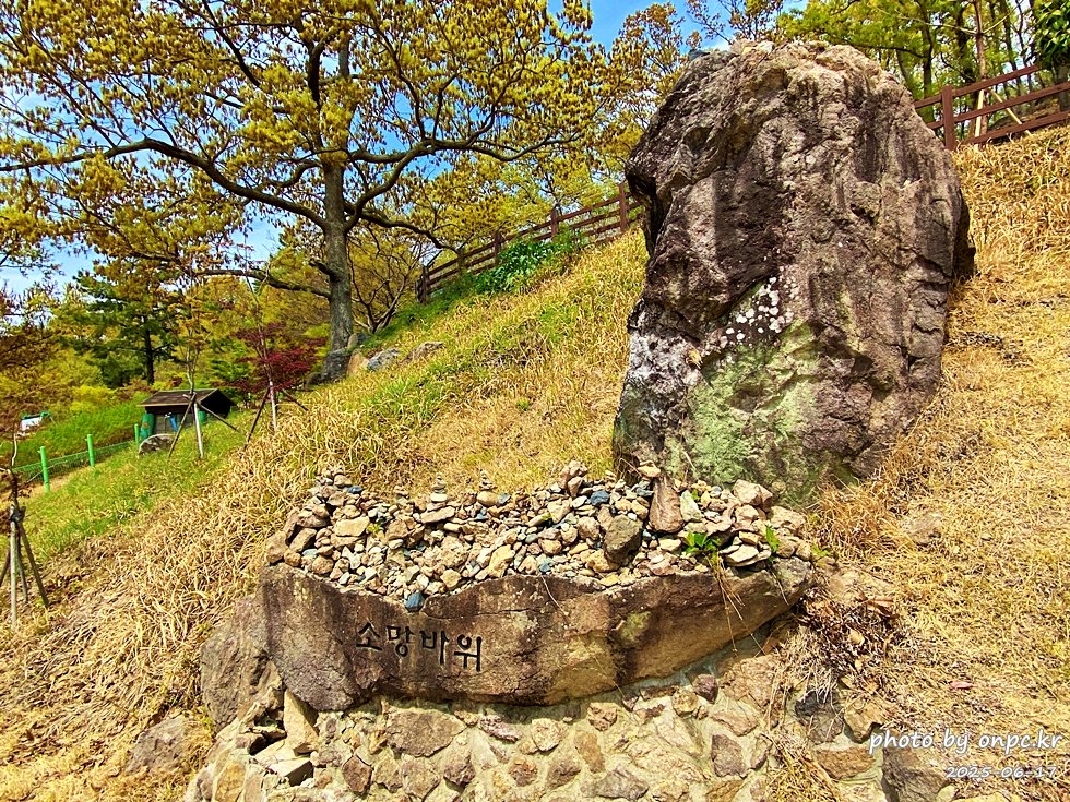 🐶 한국의 자랑 진도개와 특별한 하루! 진도개 테마파크 방문기