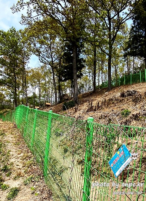 🐶 한국의 자랑 진도개와 특별한 하루! 진도개 테마파크 방문기