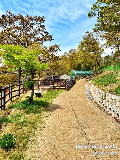 🐶 한국의 자랑 진도개와 특별한 하루! 진도개 테마파크 방문기