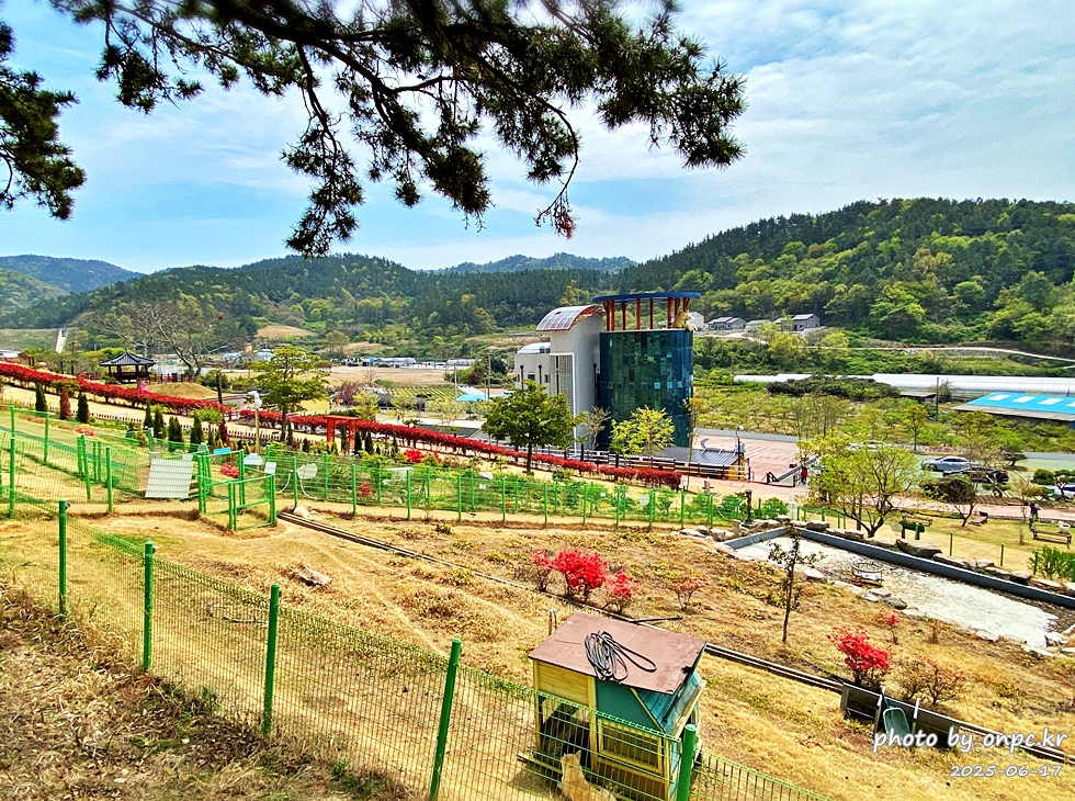 🐶 한국의 자랑 진도개와 특별한 하루! 진도개 테마파크 방문기