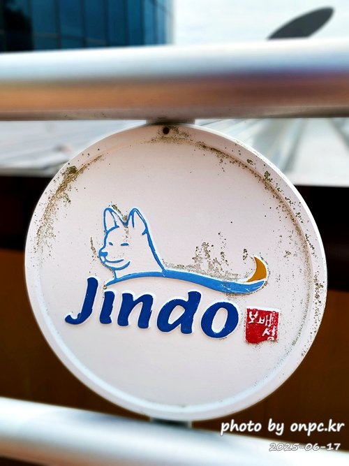 🐶 한국의 자랑 진도개와 특별한 하루! 진도개 테마파크 방문기