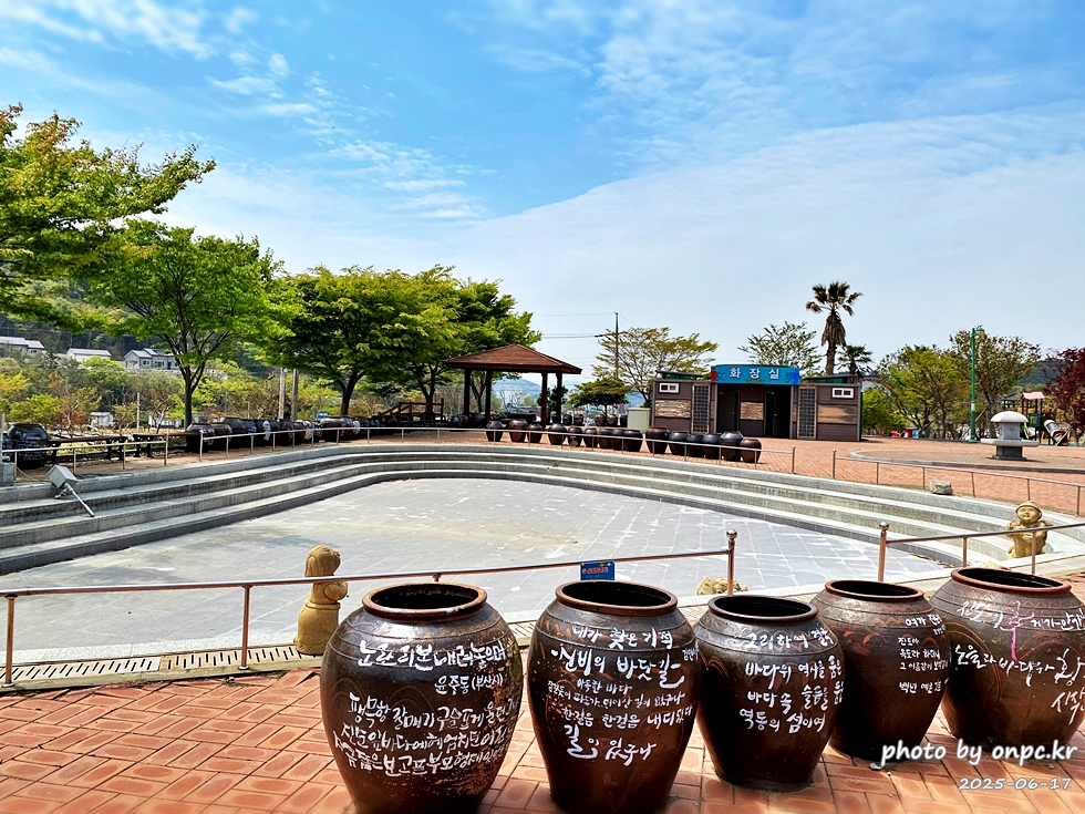 🐶 한국의 자랑 진도개와 특별한 하루! 진도개 테마파크 방문기
