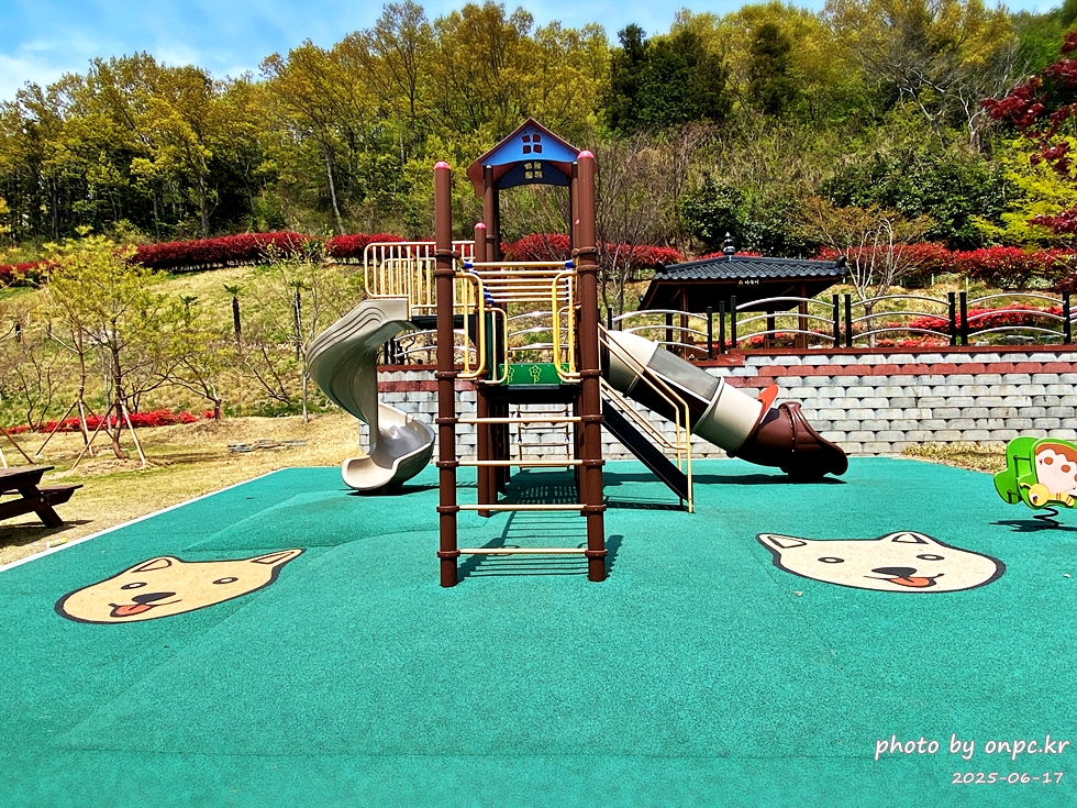 🐶 한국의 자랑 진도개와 특별한 하루! 진도개 테마파크 방문기