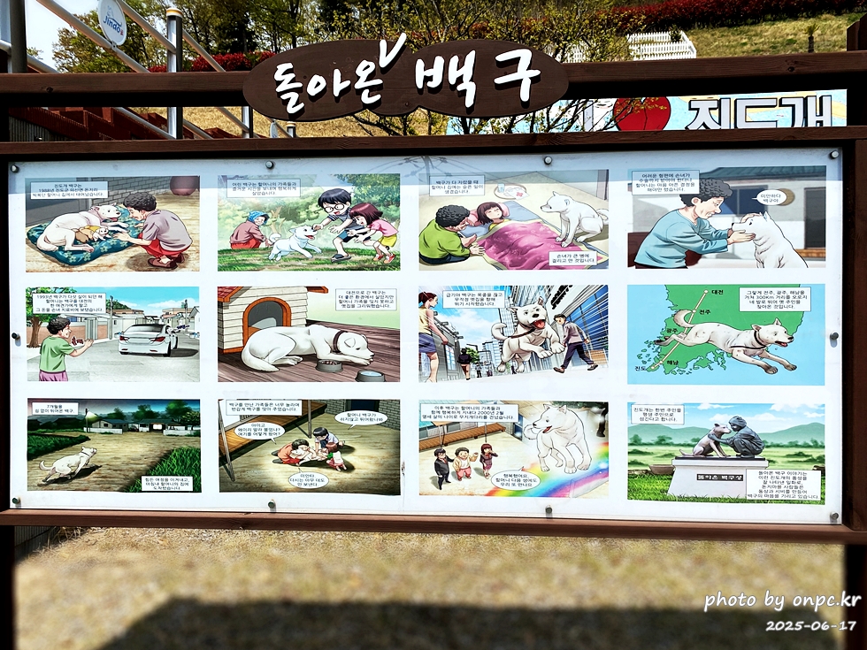 🐶 한국의 자랑 진도개와 특별한 하루! 진도개 테마파크 방문기