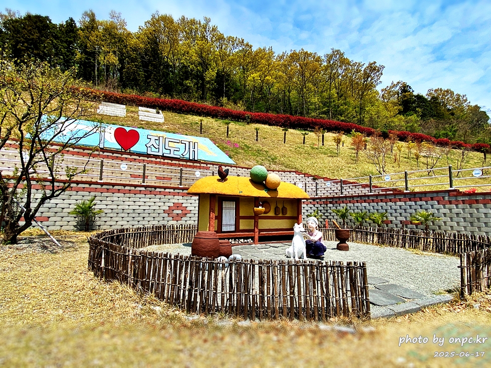 🐶 한국의 자랑 진도개와 특별한 하루! 진도개 테마파크 방문기