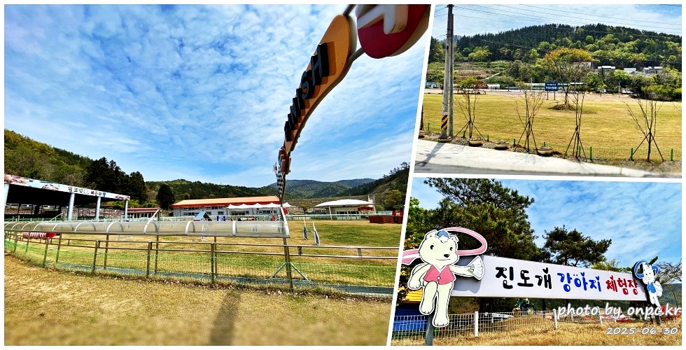 🐶 한국의 자랑 진도개와 특별한 하루! 진도개 테마파크 방문기