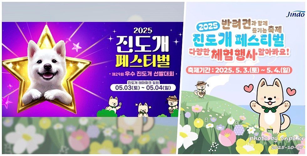 🐶 한국의 자랑 진도개와 특별한 하루! 진도개 테마파크 방문기