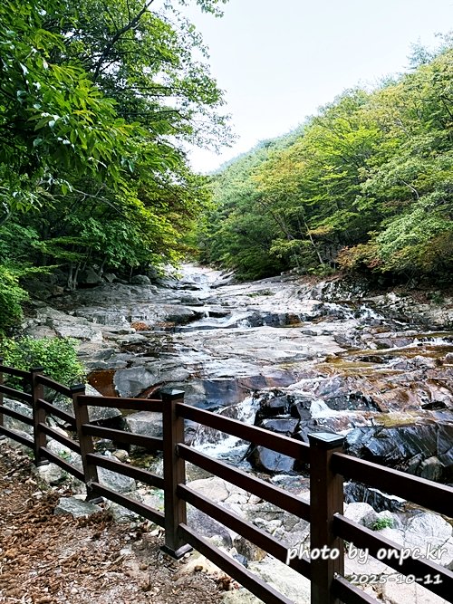 [밀양여행] 밀양팔경 시례 호박소 — 청량한 물소리 따라 걷는 힐링길 🌿✨