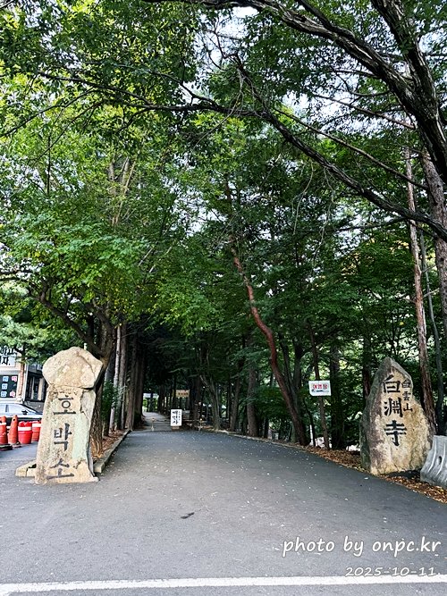 [밀양여행] 밀양팔경 시례 호박소 — 청량한 물소리 따라 걷는 힐링길 🌿✨