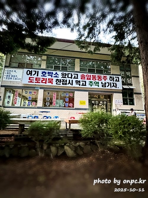 [밀양여행] 밀양팔경 시례 호박소 — 청량한 물소리 따라 걷는 힐링길 🌿✨