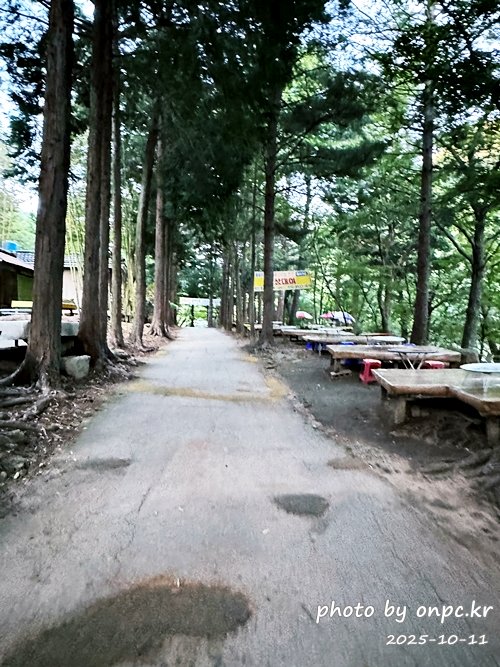 [밀양여행] 밀양팔경 시례 호박소 — 청량한 물소리 따라 걷는 힐링길 🌿✨