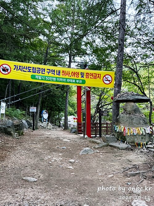 [밀양여행] 밀양팔경 시례 호박소 — 청량한 물소리 따라 걷는 힐링길 🌿✨