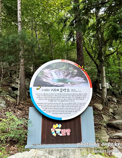 [밀양여행] 밀양팔경 시례 호박소 — 청량한 물소리 따라 걷는 힐링길 🌿✨