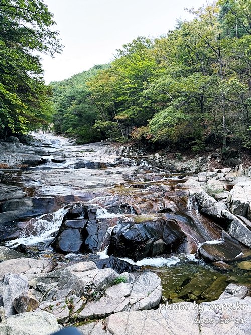 [밀양여행] 밀양팔경 시례 호박소 — 청량한 물소리 따라 걷는 힐링길 🌿✨