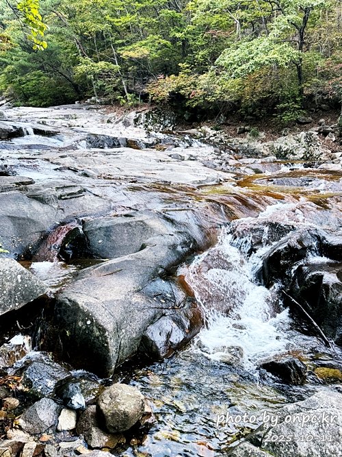 [밀양여행] 밀양팔경 시례 호박소 — 청량한 물소리 따라 걷는 힐링길 🌿✨