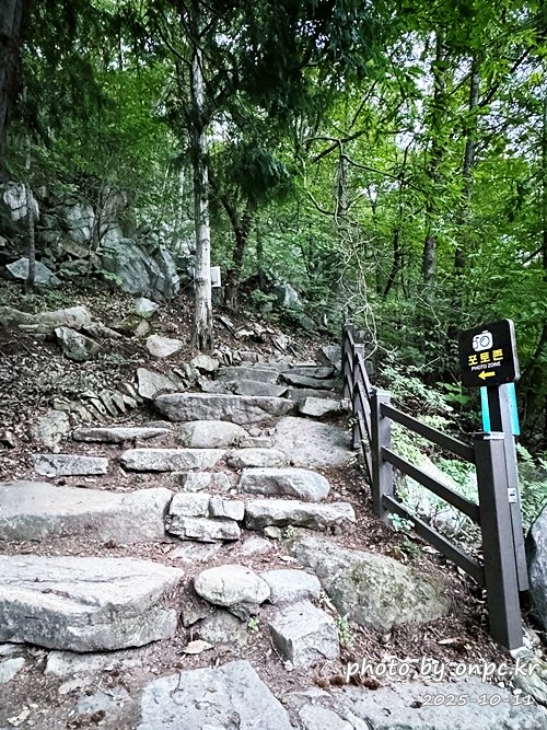[밀양여행] 밀양팔경 시례 호박소 — 청량한 물소리 따라 걷는 힐링길 🌿✨