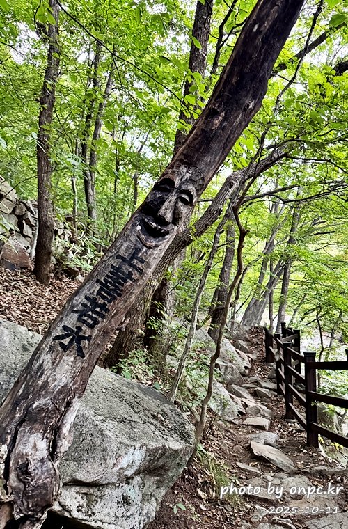 [밀양여행] 밀양팔경 시례 호박소 — 청량한 물소리 따라 걷는 힐링길 🌿✨