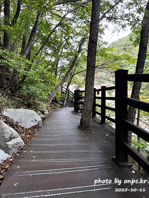 [밀양여행] 밀양팔경 시례 호박소 — 청량한 물소리 따라 걷는 힐링길 🌿✨