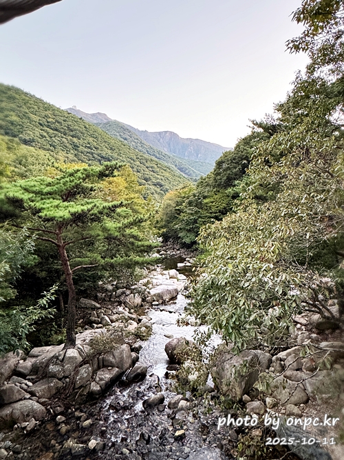 [밀양여행] 밀양팔경 시례 호박소 — 청량한 물소리 따라 걷는 힐링길 🌿✨