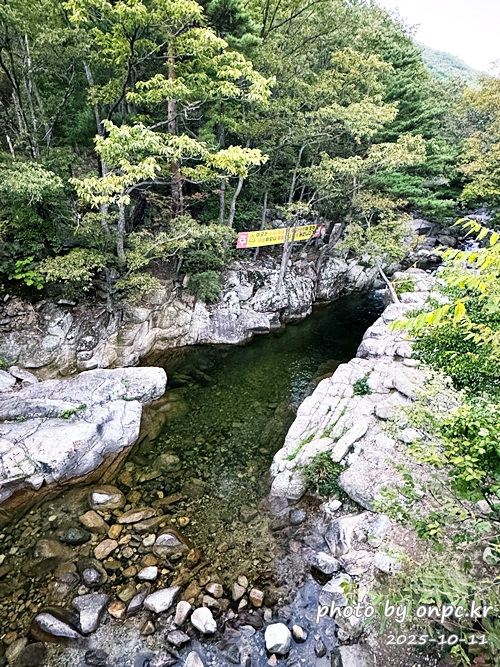 [밀양여행] 밀양팔경 시례 호박소 — 청량한 물소리 따라 걷는 힐링길 🌿✨