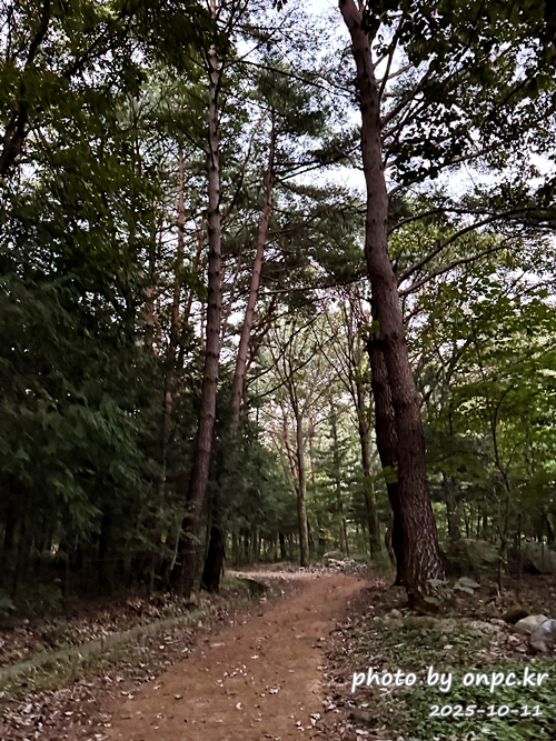 [밀양여행] 밀양팔경 시례 호박소 — 청량한 물소리 따라 걷는 힐링길 🌿✨