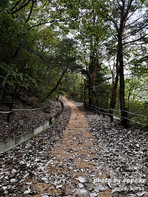 [밀양여행] 밀양팔경 시례 호박소 — 청량한 물소리 따라 걷는 힐링길 🌿✨
