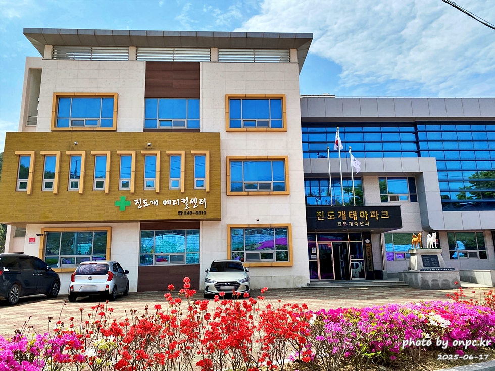 🐶 한국의 자랑 진도개와 특별한 하루! 진도개 테마파크 방문기