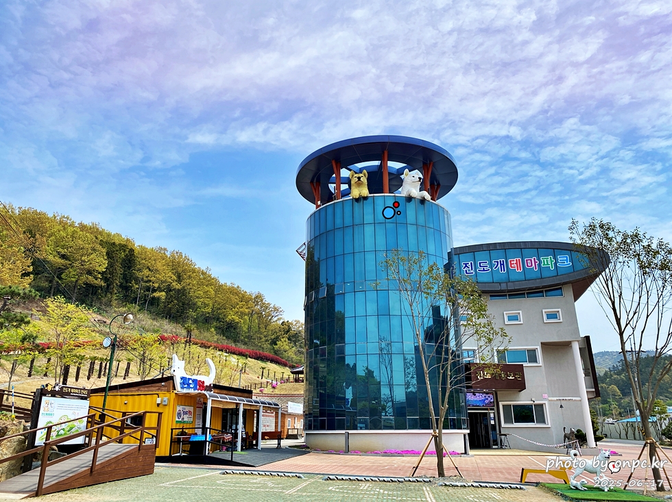 🐶 한국의 자랑 진도개와 특별한 하루! 진도개 테마파크 방문기