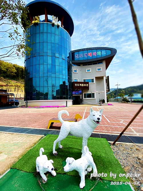 🐶 한국의 자랑 진도개와 특별한 하루! 진도개 테마파크 방문기