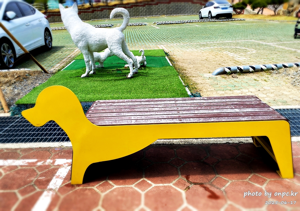 🐶 한국의 자랑 진도개와 특별한 하루! 진도개 테마파크 방문기