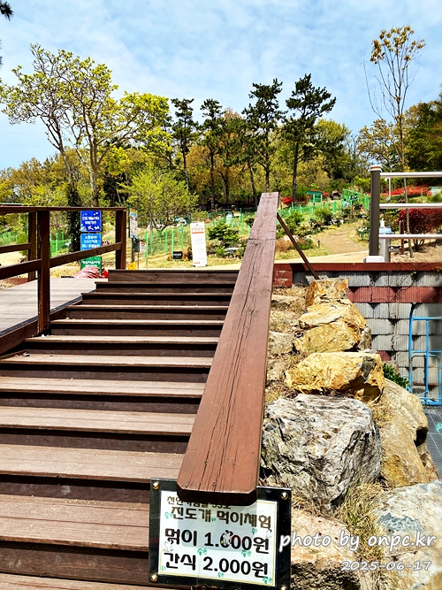 🐶 한국의 자랑 진도개와 특별한 하루! 진도개 테마파크 방문기