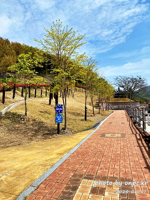 🐶 한국의 자랑 진도개와 특별한 하루! 진도개 테마파크 방문기