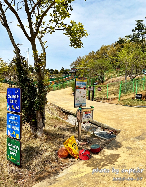 🐶 한국의 자랑 진도개와 특별한 하루! 진도개 테마파크 방문기