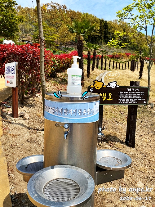 🐶 한국의 자랑 진도개와 특별한 하루! 진도개 테마파크 방문기