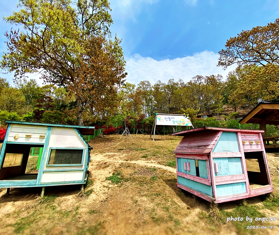 🐶 한국의 자랑 진도개와 특별한 하루! 진도개 테마파크 방문기
