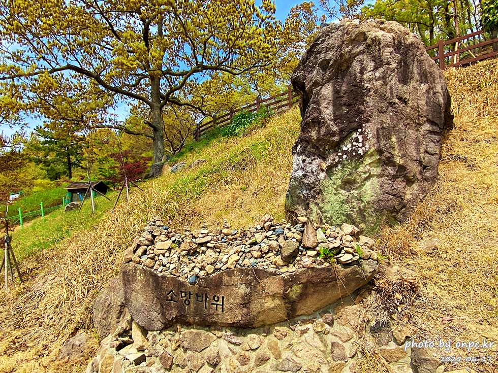 🐶 한국의 자랑 진도개와 특별한 하루! 진도개 테마파크 방문기