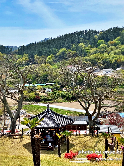 🐶 한국의 자랑 진도개와 특별한 하루! 진도개 테마파크 방문기