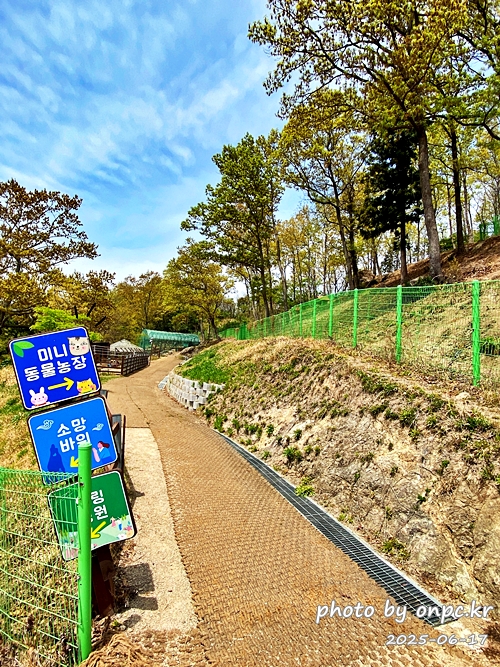 🐶 한국의 자랑 진도개와 특별한 하루! 진도개 테마파크 방문기