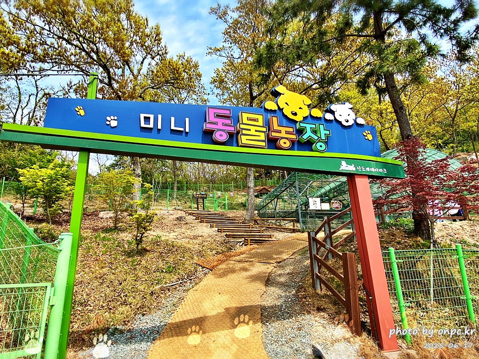 🐶 한국의 자랑 진도개와 특별한 하루! 진도개 테마파크 방문기