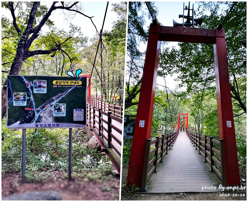 [밀양여행] 밀양팔경 시례 호박소 — 청량한 물소리 따라 걷는 힐링길 🌿✨