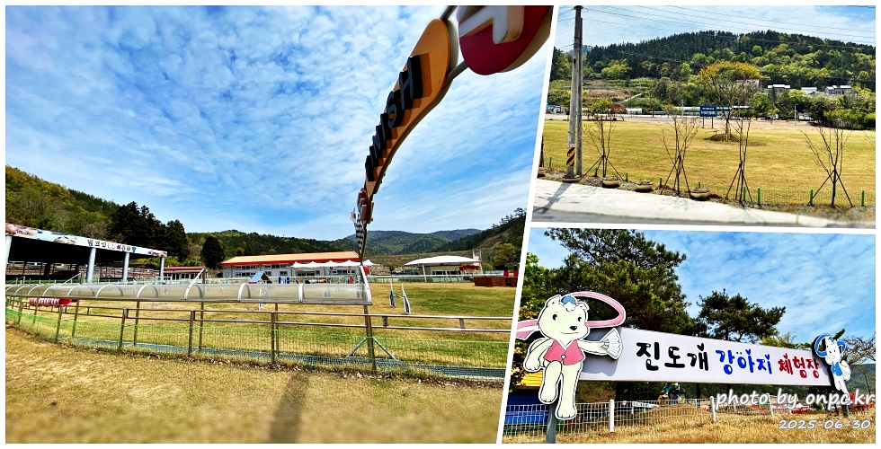 🐶 한국의 자랑 진도개와 특별한 하루! 진도개 테마파크 방문기 - 진도 여행 중 가 볼 만한 곳을 찾으신다면,우리 민족의 자랑스러운 토종견인 천연기념물 제53호로도 지정되어 있는 진도개를 만날 수 있는 특별한 장소!바로 진도개 테마파크를 추천해요!용맹하고 충성심 강한 진도개들의 매력에 푹 빠졌던 하루, 지금부터 함께 떠나볼까요? 🐾 🐶 한국의 자랑 진도개와 특별한 하루! 진도개 테마파크 방문기