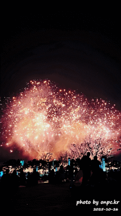 2025울산불꽃축제.GIF