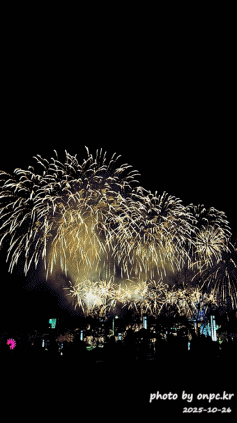 2025울산불꽃축제.GIF