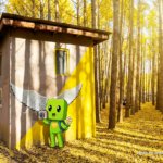 경주 도리마을은행나무숲